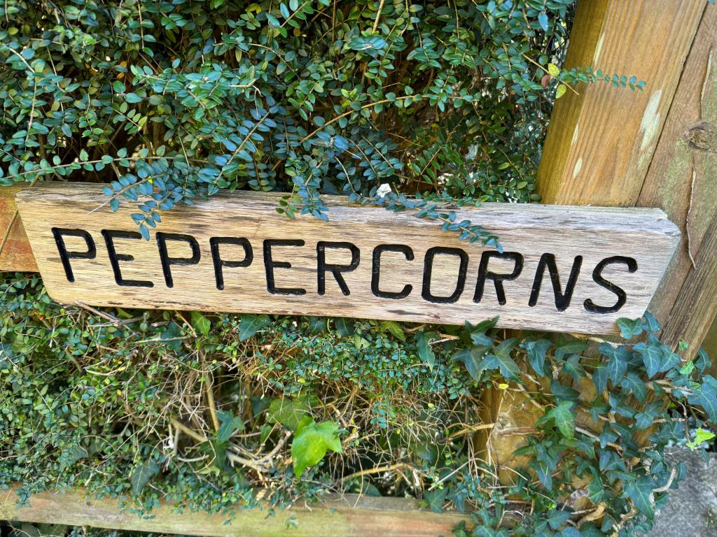Lot: 99 - DETACHED CHALET STYLE HOME WITH SIGNIFICANT STRUCTURAL DAMAGE - Engraved wooden sign with black letters